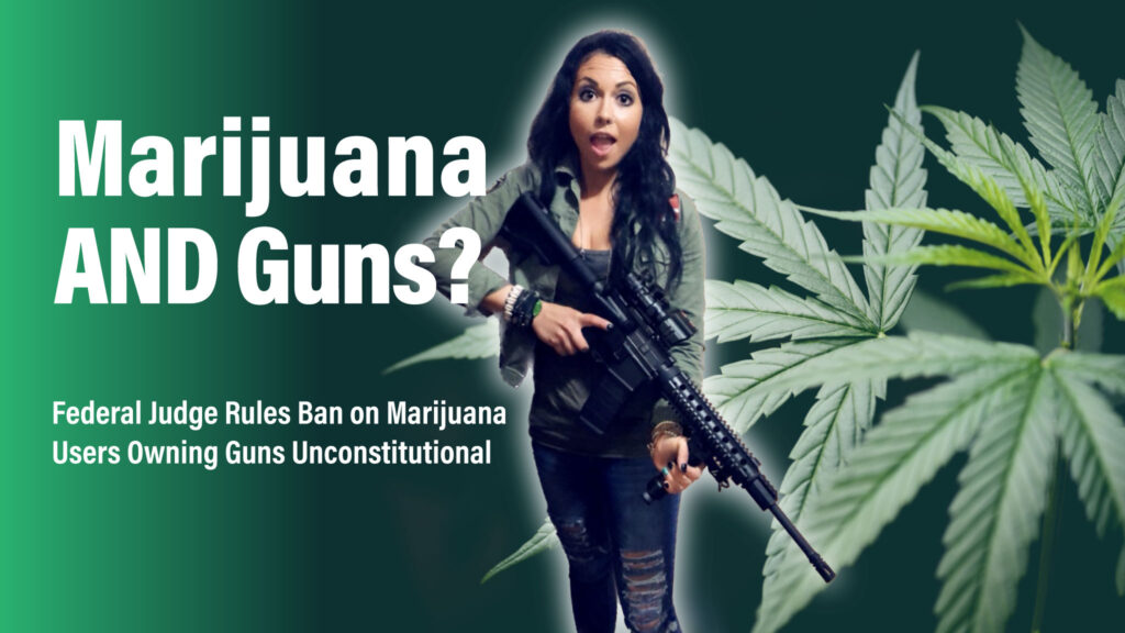 ban on marijuana users owning guns is unconstitutional